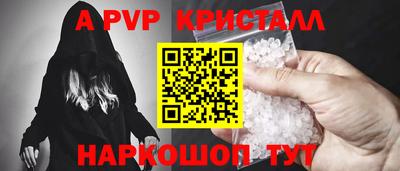 шишки Аргун