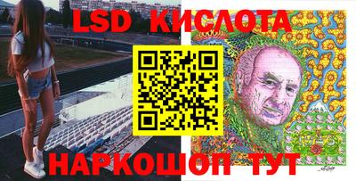 шишки Аргун