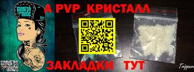 шишки Аргун