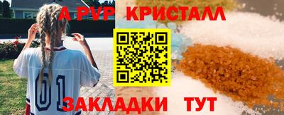 шишки Аргун