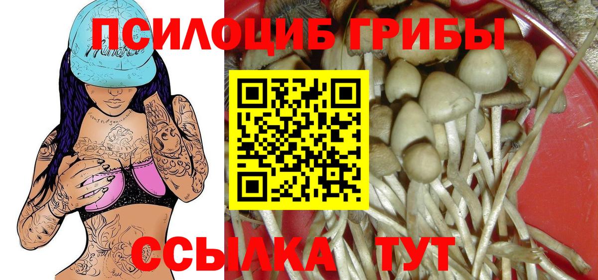 как найти закладки  Галлюциногенные грибы ЛСД  Видное  Вход с VPN  Галлюциногенные грибы мухоморы 